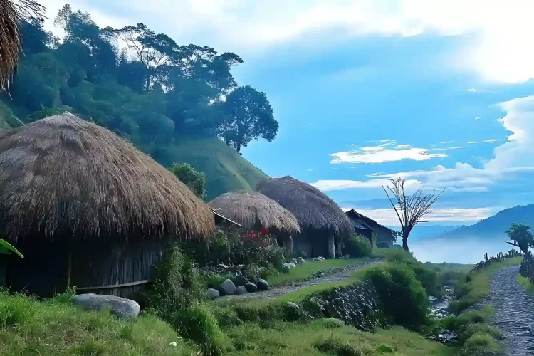 Baliem Valley tours | Papua cultural tours