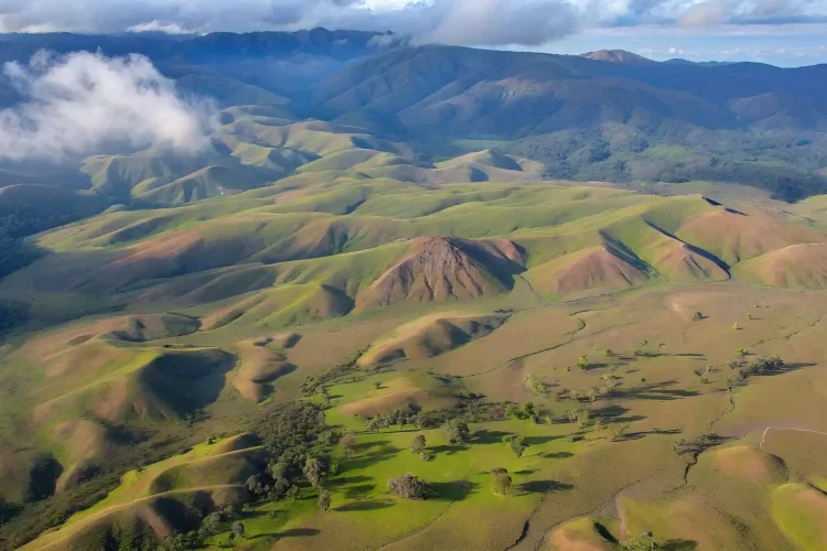 Baliem Valley tours | Papua cultural tours